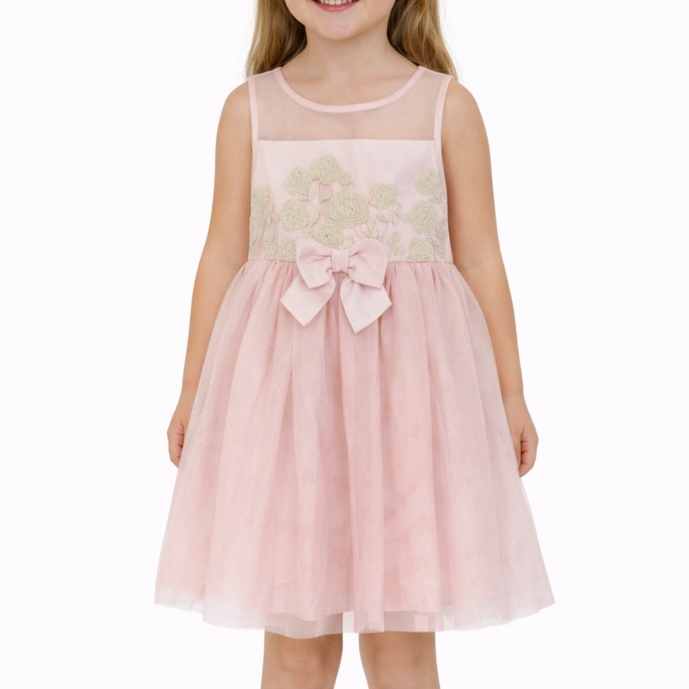 Girl’s Pink Violet special occasion flower girl tulle embroidered dress 4